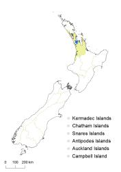Cyathea cooperi distribution map based on databased records at AK, CHR, OTA and WELT.
 Image: K. Boardman © Landcare Research 2015 CC BY 3.0 NZ